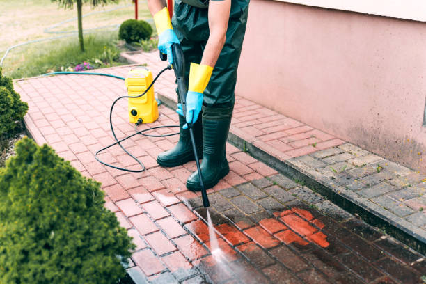 Best Roof Washing  in East Hemet, CA