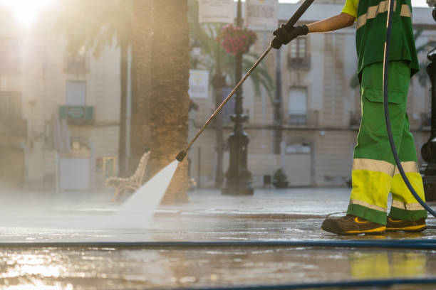 Best Dumpster Area Cleaning  in East Hemet, CA